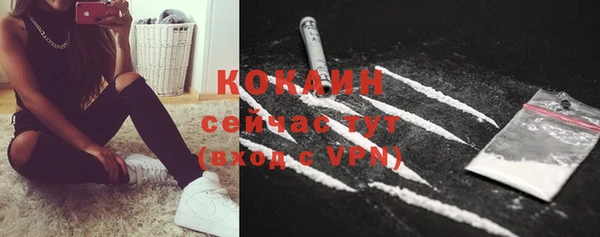 круглые Алексеевка