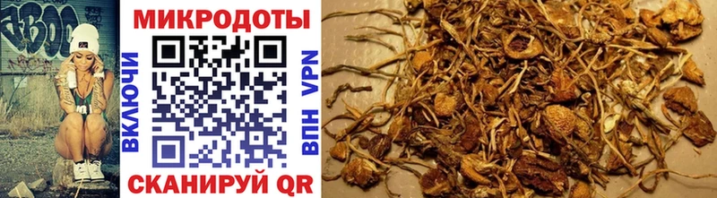 Купить  Тимашёвск  Псилоцибиновые грибы MAGIC MUSHROOMS 
